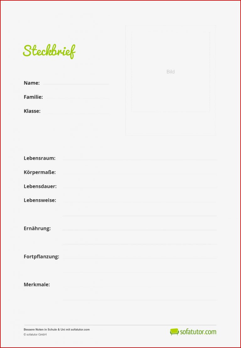 Kostenloses Lehrmaterial: Steckbriefe erstellen im Unterricht