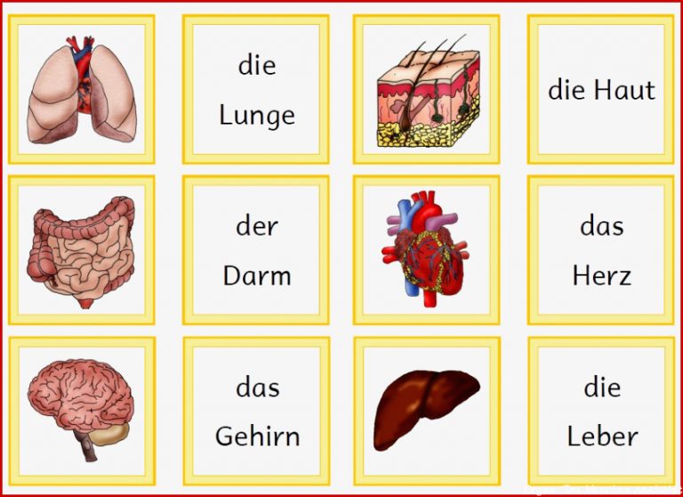 Krabbelwiese im Ruhemodus Der menschliche Körper