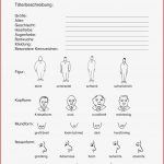 Kräuter Grundschule Arbeitsblätter Worksheets
