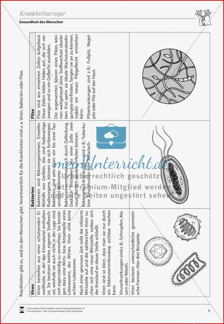 Krankheitserreger Virus und Bakterium meinUnterricht