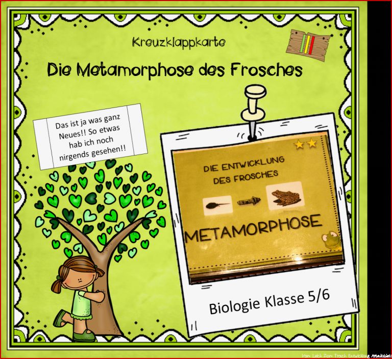 Kreuzklappkarte Metamorphose Frosch Materialtanten