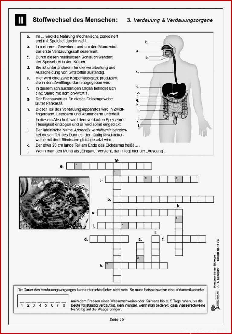 Kreuzworträtsel Biologie Klasse 7 8 PDF ab 12 J 48 S