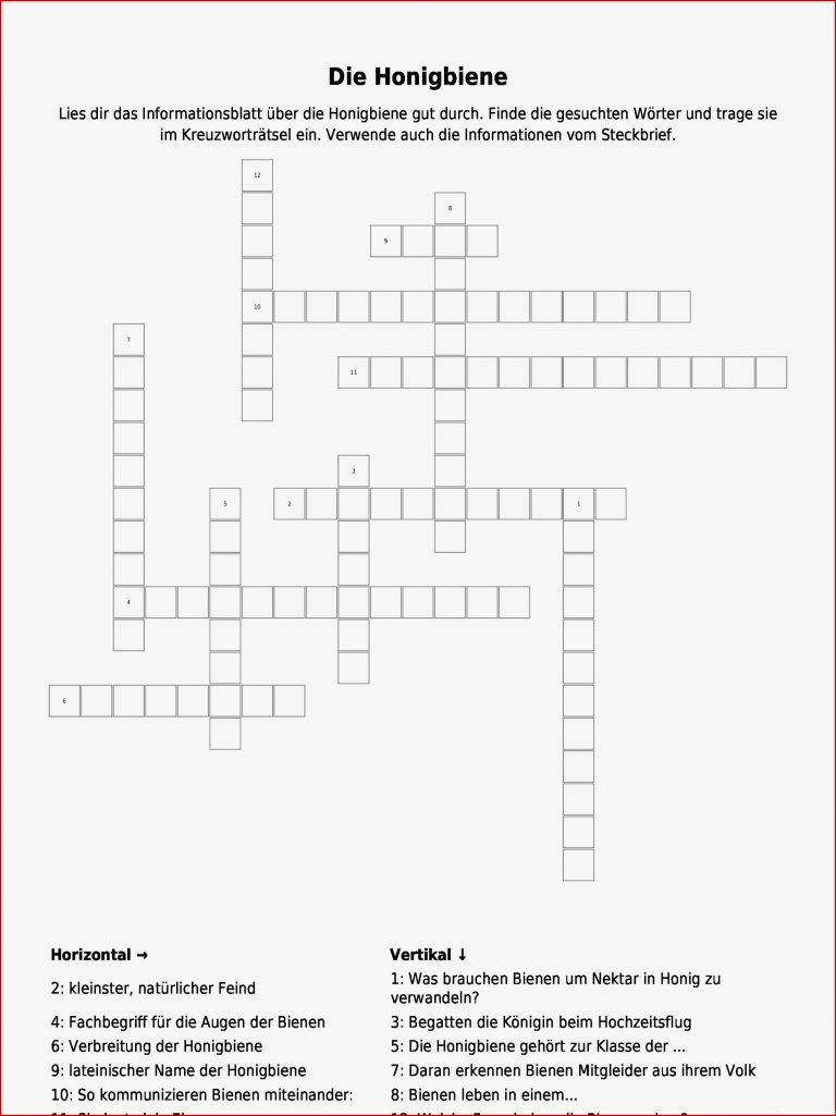 Kreuzworträtsel "die Honigbiene" Als Pdf Arbeitsblatt