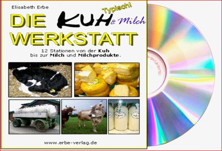 Kuh Milch Werkstatt Grundschule Unterrichtsmaterial