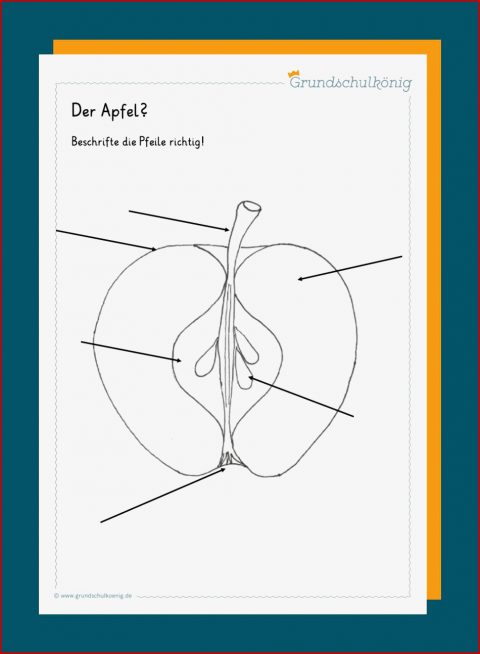 Kunst Grundschule Apfel Galerien
