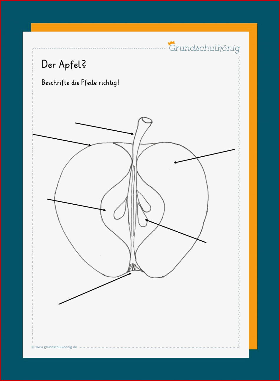 Kunst Grundschule Apfel Galerien