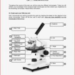 Labeling Parts A Microscope Worksheet Parts Of A