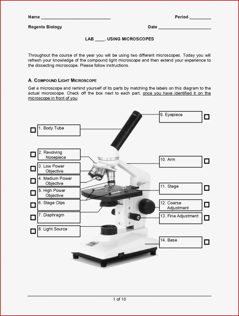 Labeling Parts A Microscope Worksheet parts of a