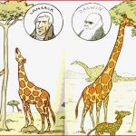 Lamarck and Darwin