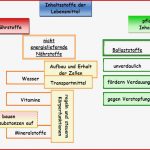 Landesbildungsserver Baden Württemberg Strukturlegeübung