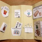 Lapbook Kartoffel – Unterrichtsmaterial Im Fach