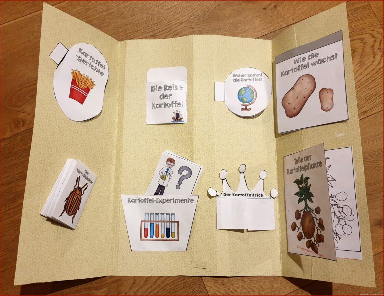 Lapbook Kartoffel – Unterrichtsmaterial im Fach