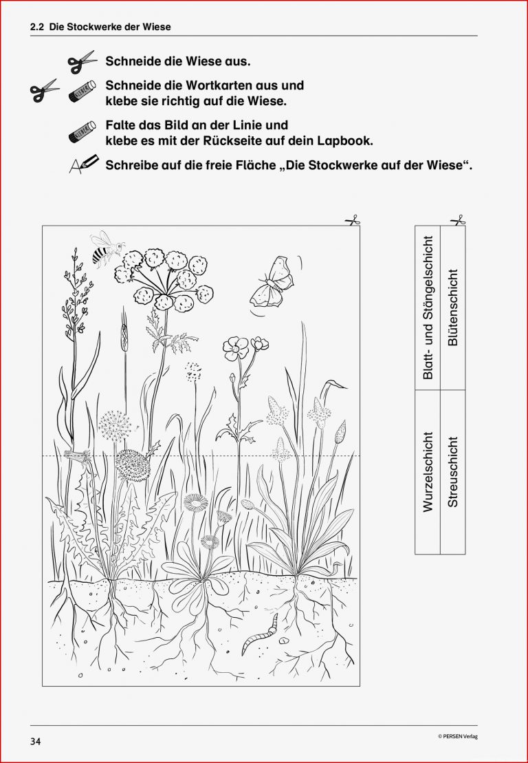 Lapbooks Wald und Wiese 1 4 Klasse
