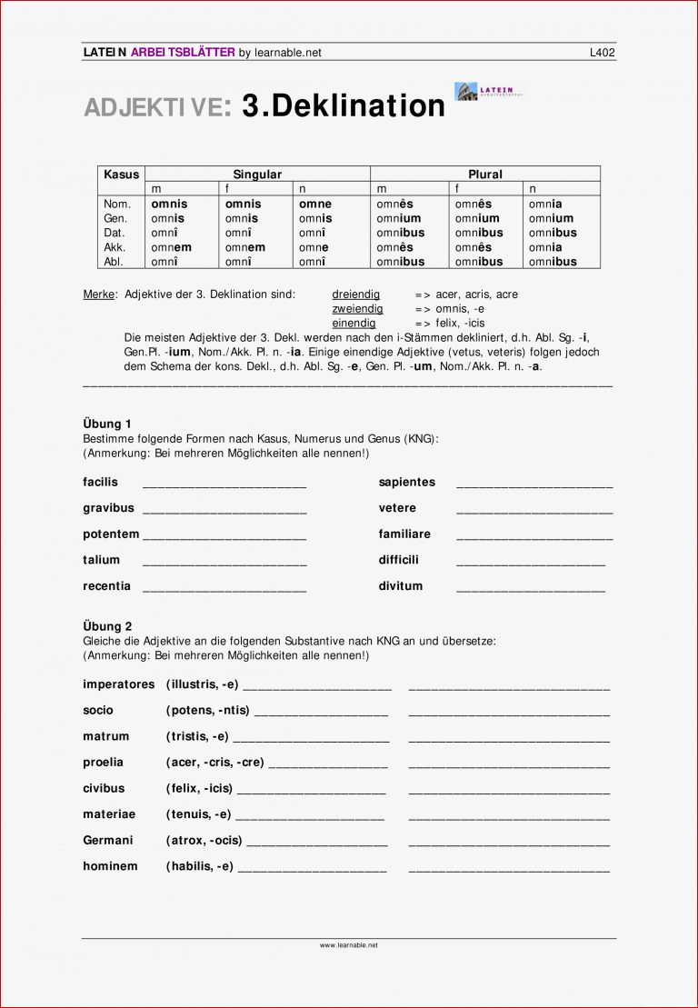 Latein Adjektive 3 Deklination – Unterrichtsmaterial