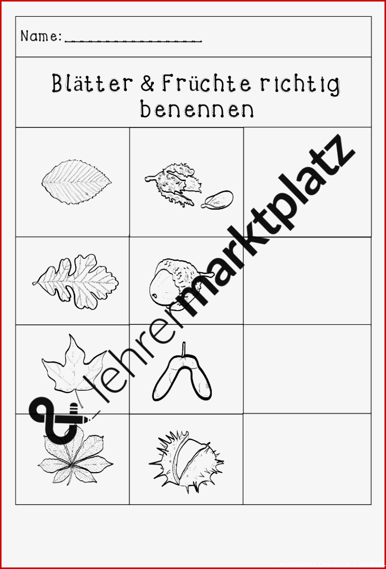 Laubbäume Grundschule Arbeitsblätter Worksheets