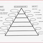 Lebensmittelpyramide Arbeitsblatt Kostenlose Daf