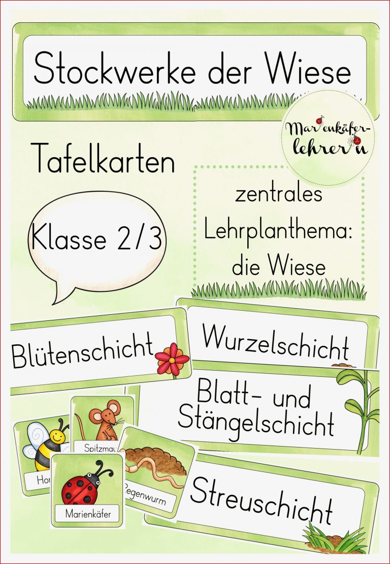 Lebensraum Wiese Grundschule Arbeitsblätter Worksheets