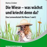 Lebensraum Wiese Grundschule Arbeitsblätter Worksheets