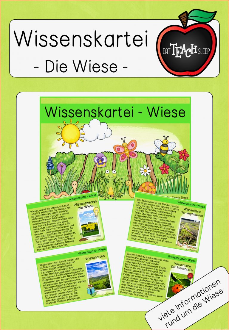 Lebensraum Wiese Grundschule Arbeitsblätter Worksheets