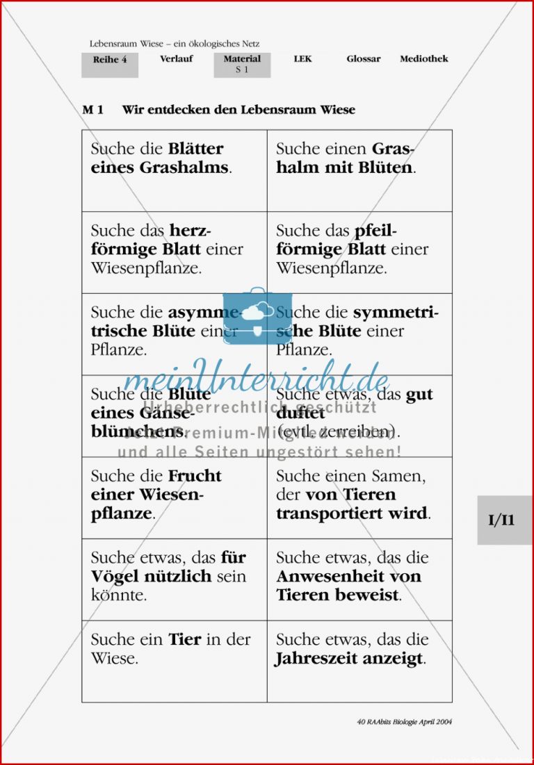 Lebensraum Wiese Suchaufgaben Zum Kennenlernen Der Wiese