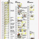 Lebenszyklus Der Bienen – Imkerei Hollibienen