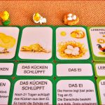 Lebenszyklus Huhn Lernmaterial Shop Bel Montessori