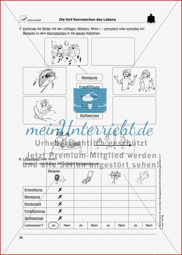 Lebewesen - Meinunterricht