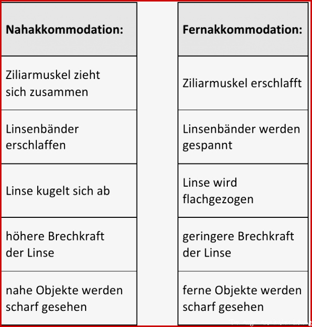 Legekärtchen Akkomodation