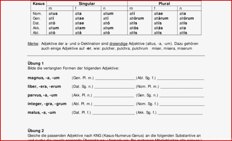 Lehnw Ter Latein Arbeitsblatt andre Pauley Schule