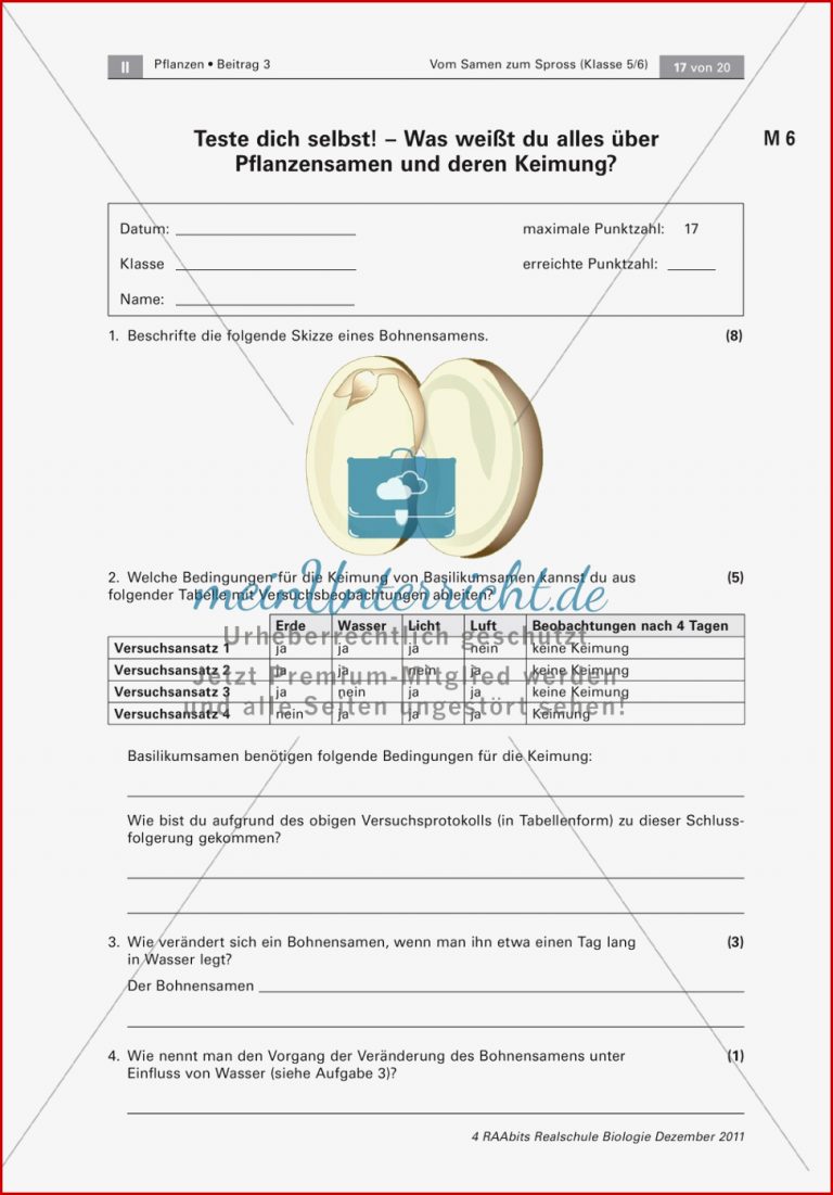 LEK Pflanzensamen und Keimung meinUnterricht