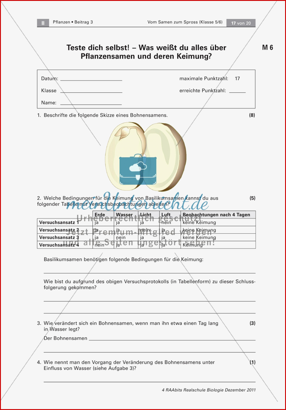 Lek Pflanzensamen Und Keimung Meinunterricht