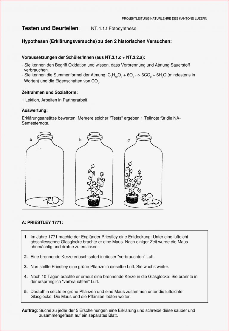 Lernkontrolle Fotosynthese Testen Und Beurteilen
