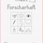 Lernstübchen Das forscherheft