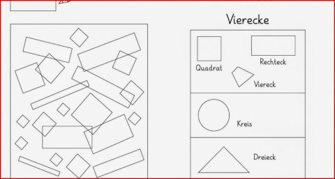Lernstübchen formen Erkennen