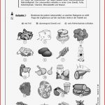 Lernwerkstatt Ernährung Pdf Ab 9 J 64 S