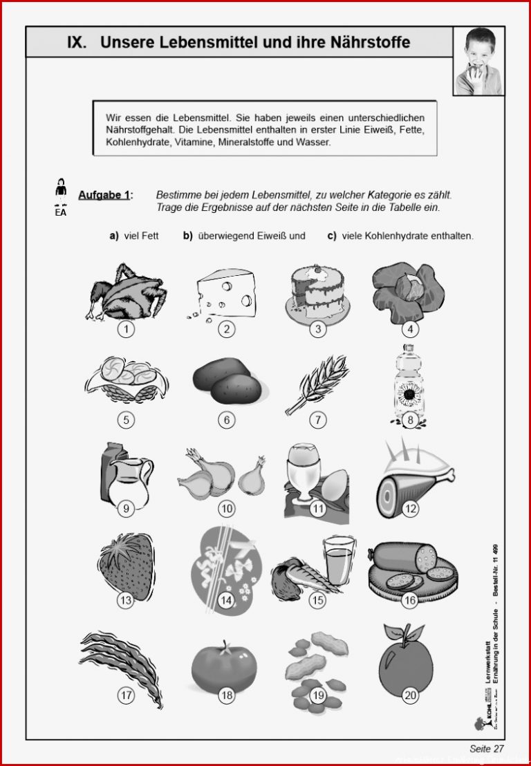 Lernwerkstatt Ernährung Pdf Ab 9 J 64 S