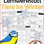 Lernwerkstatt Tiere Im Winter 22 Differenzierte