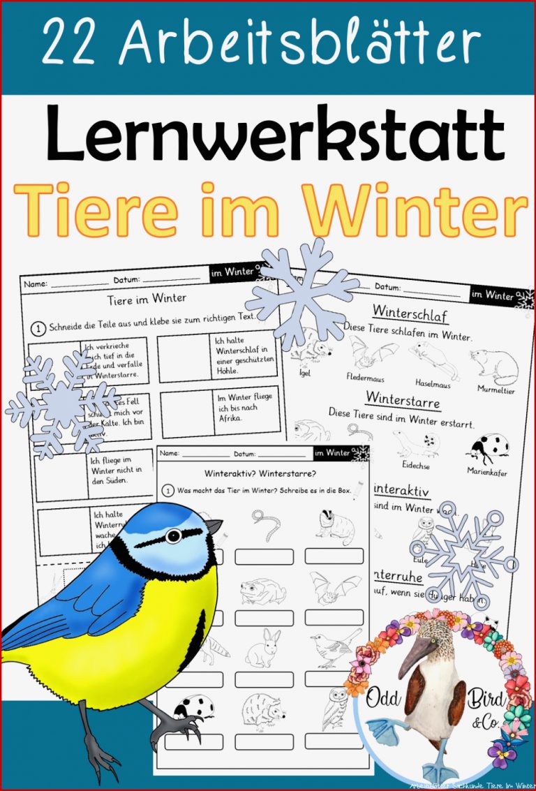 Lernwerkstatt Tiere Im Winter 22 Differenzierte