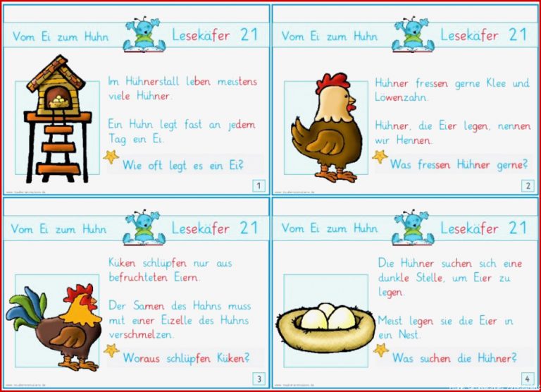 Lesekäfer Vom Ei zum Huhn – Zaubereinmaleins Shop