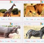 Lesekäferchen Tiere In Afrika – Zaubereinmaleins Shop