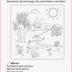 Lesemalblatt Zum Frühling Lesen Daf Daz — Rulmeca Germany