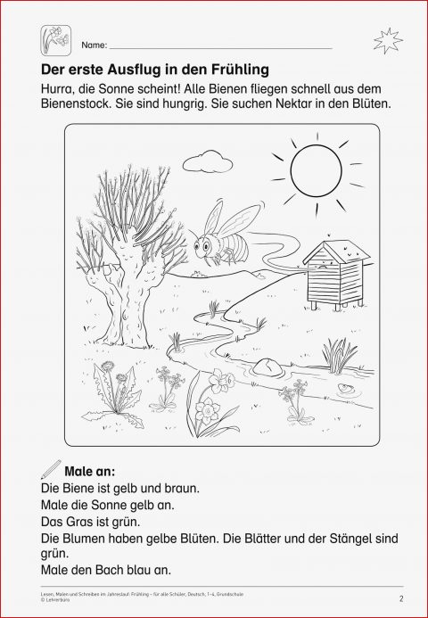 Lesemalblatt Zum Frühling Lesen Daf Daz — Rulmeca Germany