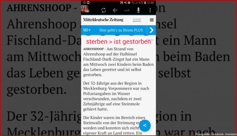 Lesen Zeitungsartikel