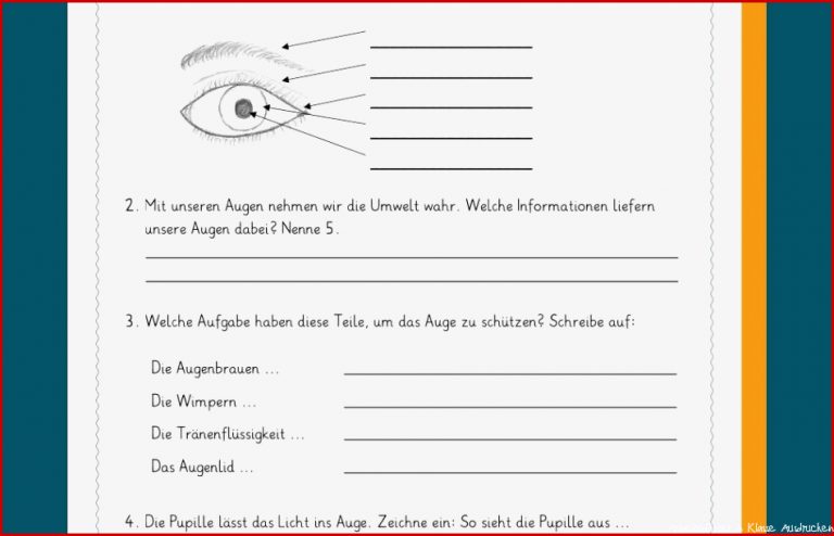 Lesetexte Mit Fragen 4 Klasse Zum Ausdrucken Ein zum Download Lesetexte Mit Fragen 4 Klasse Zum Ausdrucken Ein