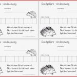 Leseweg: Das Igeljahr â 12 Stationen â Zaubereinmaleins Shop