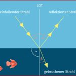 Lichtbrechung – Erklärung & Übungen