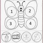 Life Cycle butterfly Worksheet – Preschoolplanet