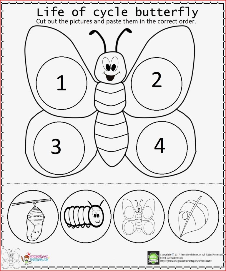 Life Cycle Butterfly Worksheet – Preschoolplanet