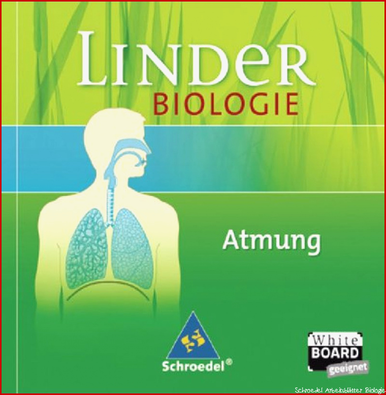 LINDER Biologie SI Atmung 169 00