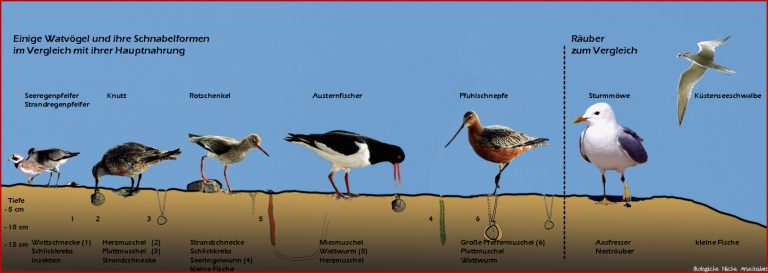 Links zum Biologie und Chemieunterricht